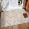 Washable Area Rugs 2×3