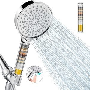 Filtered Shower Head with Handheld