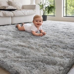 4×6 Area Rug
