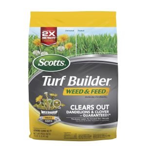 Scotts Turf Builder Weed and Feed3