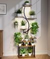 Plant Stand Indoor