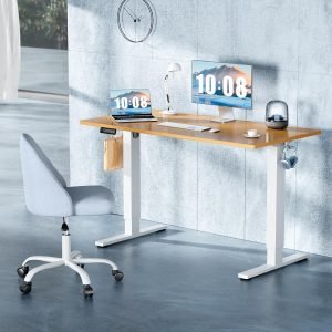 40 Inch Electric Standing Desk