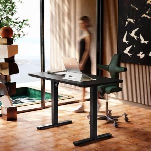Electric Standing Desk