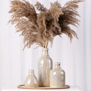 Ceramic Vase Set of 3