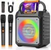 Portable Karaoke Machine
