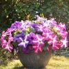 Artificial Flowers
