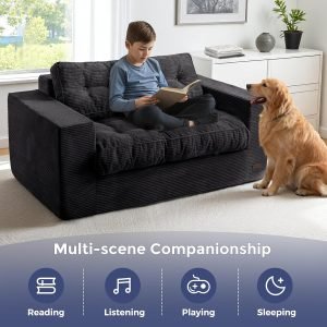 Loveseat Sofa Couch