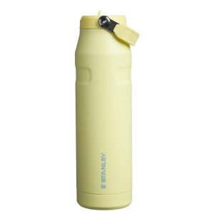 Stanley IceFlow Flip Straw 2.0 Water Bottle