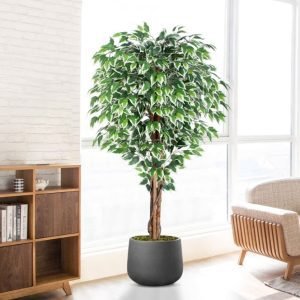 5ft Ficus Artificial Trees At Walmart !!
