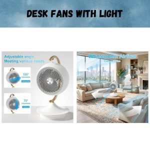 Desk Fans with Light
