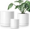 Ceramic Planters 