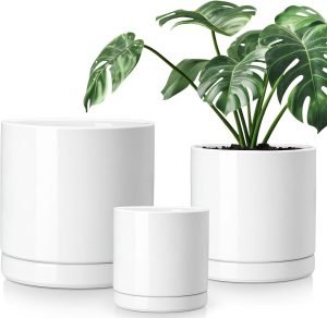 Ceramic Planters 