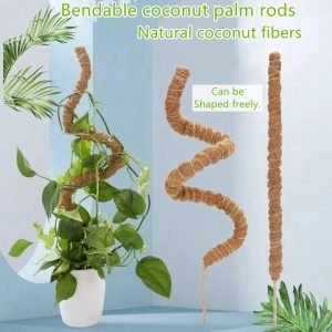 Moss Pole Monstera Plant Support 