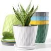 6 Pack Plastic Indoor Flower Pots 