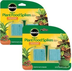 Miracle-Gro Indoor Plant Food Spikes