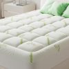 Queen Size Ultra Soft Mattress Topper