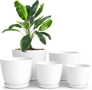 Set of 5 White Plastic Flower Pots