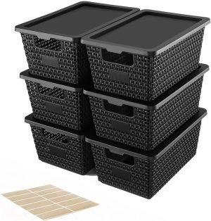 Storage Bins with Lids