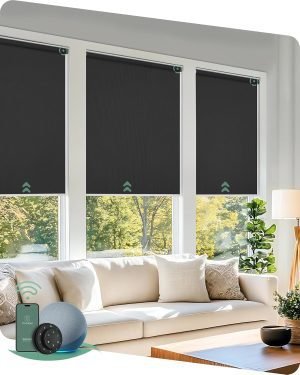 Motorized Blinds with Remote