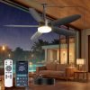 Outdoor Ceiling Fan with Lights