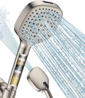 Filtered Shower Head with Handheld