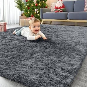 Area Rugs for Living Room Bedroom