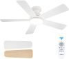 Ceiling Fans with Lights