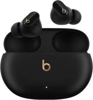 Beats True Wireless Noise Cancelling Earbuds