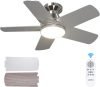 Ceiling Fans with Lights