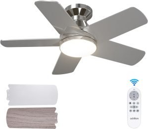 Ceiling Fans with Lights