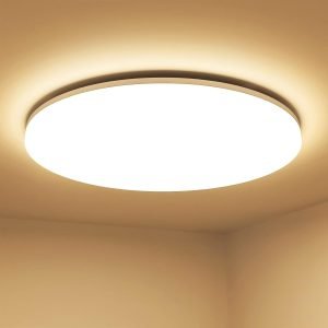 LED Ceiling Light