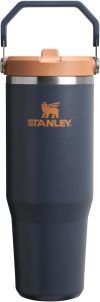 STANLEY IceFlow 2.0 Flip Straw Tumbler 