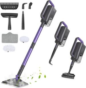 Steam Cleaner 