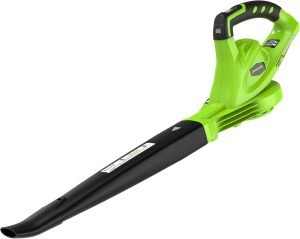 Greenworks Cordless Leaf Blower