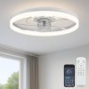 Ceiling Fan with Light