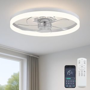 Ceiling Fan with Light