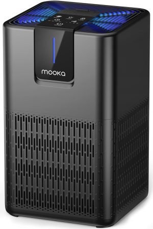 Air Purifiers for Home Large Room 