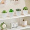 Set of 6 Succulents Plants Artificial in Pots