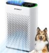 Air Purifier for Large Room
