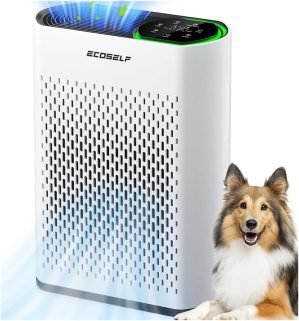 Air Purifier for Large Room