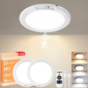 Ceiling Light 2 Pack 
