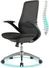 Ergonomic Office Chair