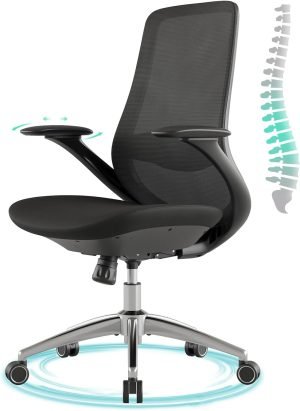 Ergonomic Office Chair