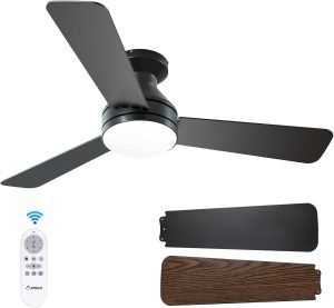 Ceiling Fans with Lights