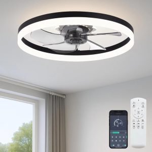 20 Ceiling Fan with Light 