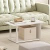 2-Tier Modern Coffee Table