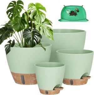 Plant Pots