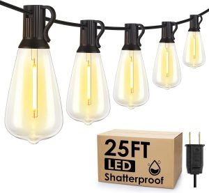25FT Outdoor String Lights 