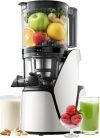 3-In-1 Cold Press Juicer 