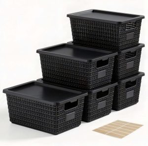 Storage Bins with Lids